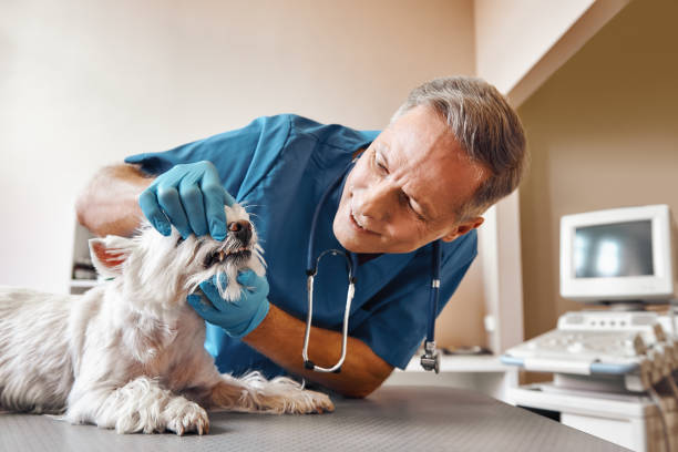 Best Weekend Emergency Dentist in Monticello, FL